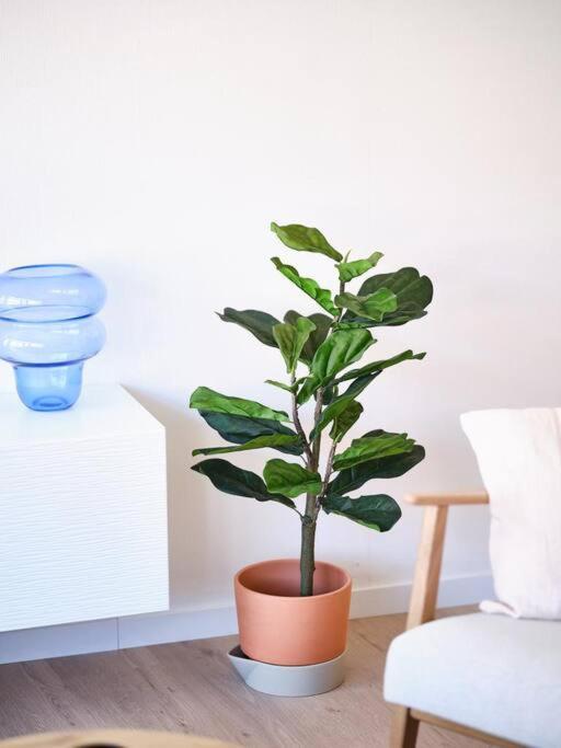 Hugo By The Harbor, Light-filled And Centrally Located - Free Parking Appartement Oostende